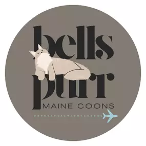 Bild von Bellspurr Maine Coons