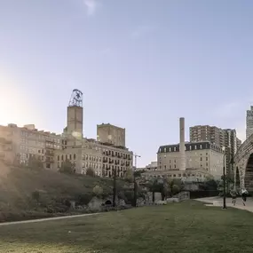 Flourishing Neighborhood with running path