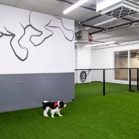 Pet Friendly