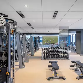 Gym with a variety of equipment including treadmills, weights, and benches