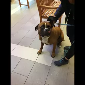 Bild von Happy Pets Vets