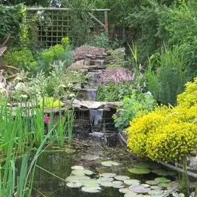 Bild von Shakespeares Landscapes Ltd