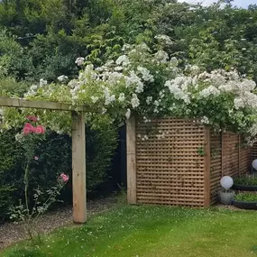 Bild von Shakespeares Landscapes Ltd