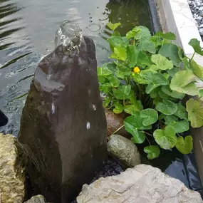 Bild von Shakespeares Landscapes Ltd