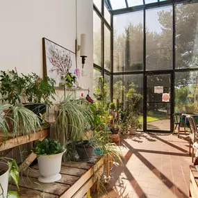 Bild von Solista Gresham