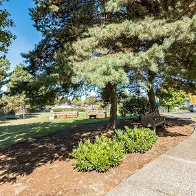 Bild von Solista Gresham