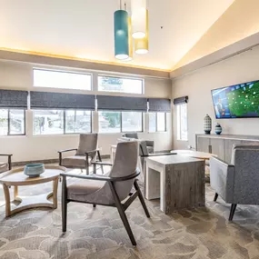 Bild von Solista Everett