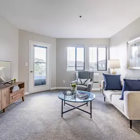 Bild von Solista Everett