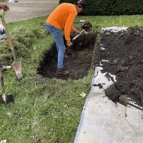 Bild von Allied Waterproofing & Septic