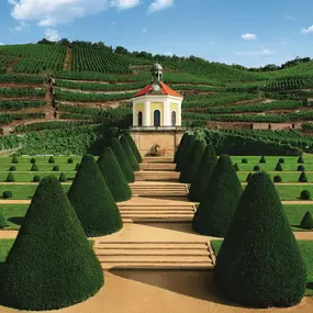 Bild von Schloss Wackerbarth