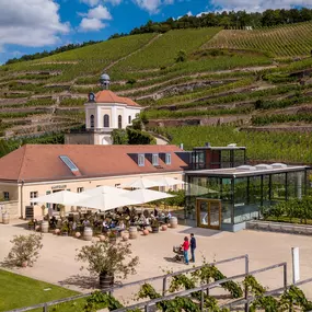 Bild von Schloss Wackerbarth