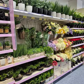 Bild von B&M Store