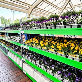 Bild von B&M Home Store with Garden Centre