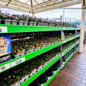 Bild von B&M Home Store with Garden Centre