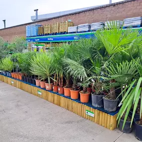 Bild von B&M Home Store with Garden Centre
