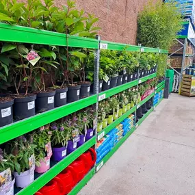 Bild von B&M Home Store with Garden Centre