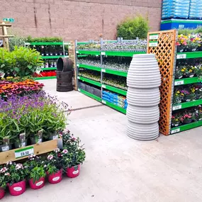 Bild von B&M Home Store with Garden Centre