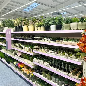 Bild von B&M Home Store with Garden Centre