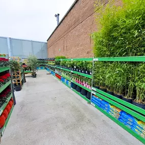 Bild von B&M Home Store with Garden Centre