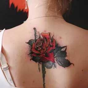 Bild von Tattoo Dílna Vosí Hnízdo