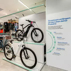 Bild von DECATHLON Konstanz
