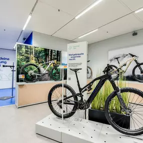Bild von DECATHLON Konstanz