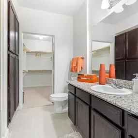 Bathroom and walk-in closet