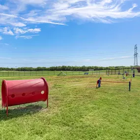 Dog park