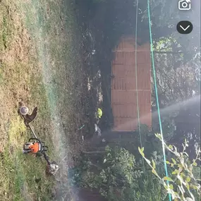 Bild von McDonald Tree Services & Property Maintenance