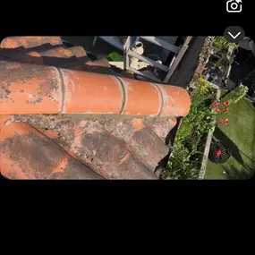 Bild von McDonald Tree Services & Property Maintenance
