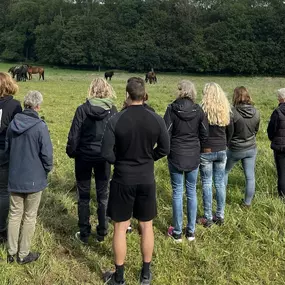 Bild von JK Sportpferde Pferdezucht Akupunktur Coaching mit Pferden
