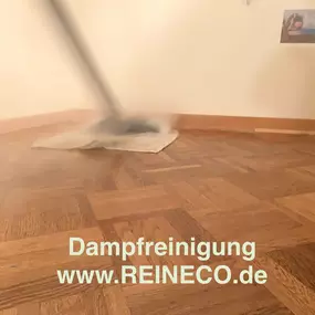Bild von REINECO