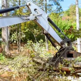 We offer tree clearing services that prepare land for what’s next.