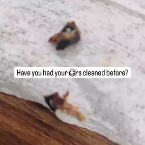 Bild von MW Ear Wax Removal