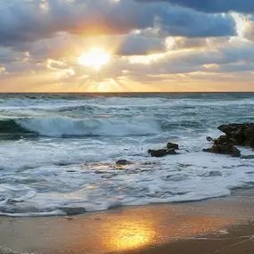 Bild von Sailfish Point