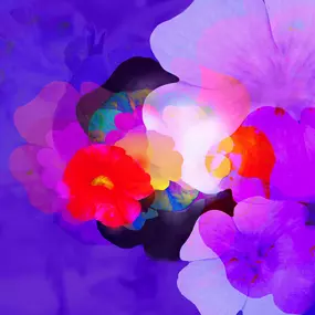 Bild von Michael Alexander Seywald - Online Kunstgalerie