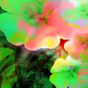 Bild von Michael Alexander Seywald - Online Kunstgalerie