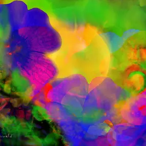 Bild von Michael Alexander Seywald - Online Kunstgalerie