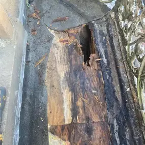Bild von CB Roofing