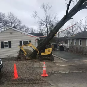 Bild von Newcomb's Tree Service, LLC