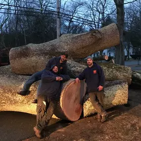 Bild von Newcomb's Tree Service, LLC