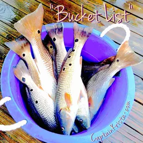 Bild von Island Charters