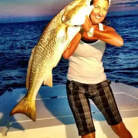 Bild von Island Charters