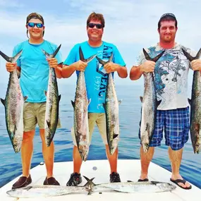 Bild von Island Charters