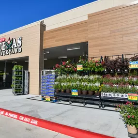Bild von College Park H-E-B