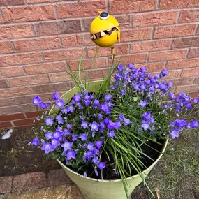 Bild von Dy55on Garden Maintenance Ltd