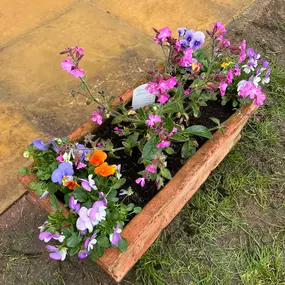 Bild von Dy55on Garden Maintenance Ltd
