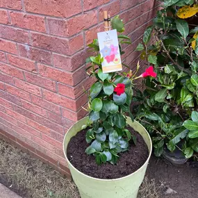 Bild von Dy55on Garden Maintenance Ltd