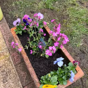 Bild von Dy55on Garden Maintenance Ltd