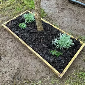 Bild von Dy55on Garden Maintenance Ltd